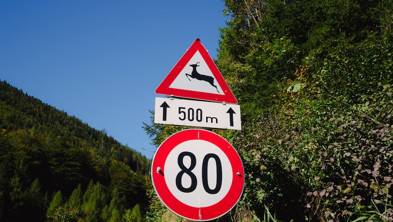 Werfen road sign warning of deer up ahead in Austria 