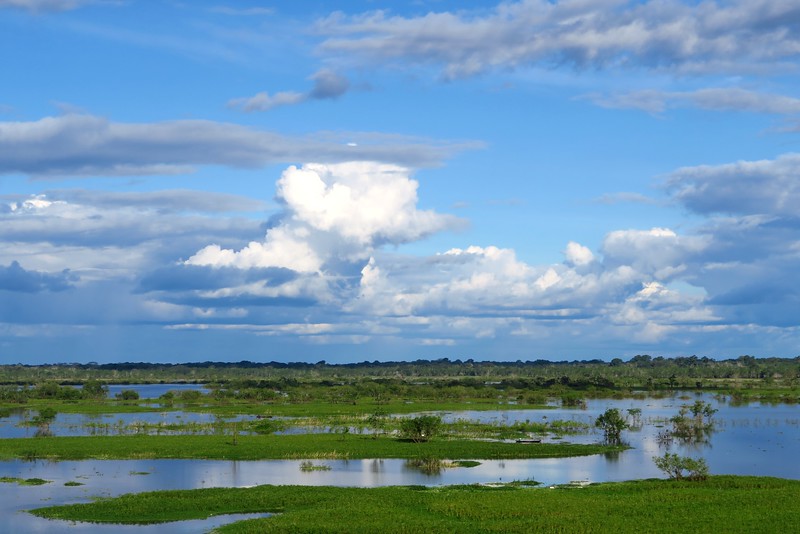 What's it like cruising the Amazon? Vast raw landscape on display in Peru
