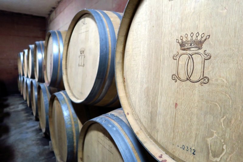 Close-up of wooden wine barrels stacked in a cellar in Emilia-Romagna, Italy, with engraved crests on the casks, highlighting the region’s rich winemaking traditions and artisanal craftsmanship that make it a must-visit destination for wine lovers