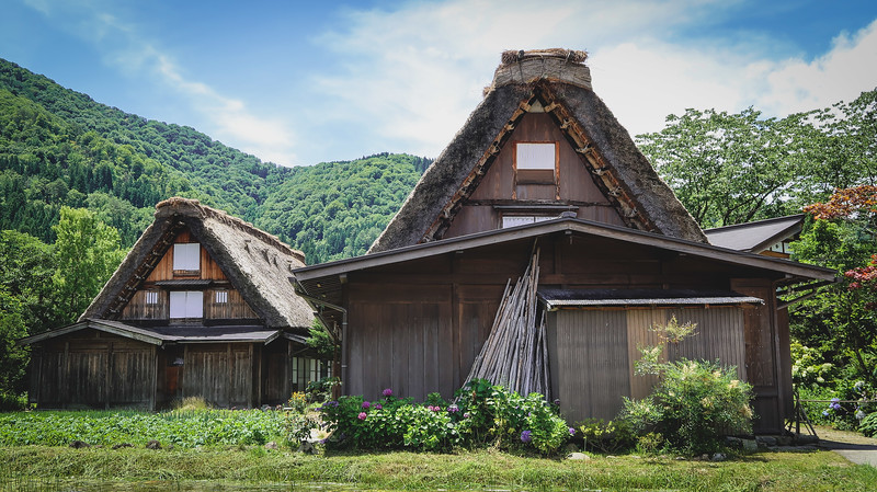 You can do a day trip to Shirakawa Village or stay overnight in these traditional farmhouses for a cultural and historical experience in Japan You can do a day trip to Shirakawa Village or stay overnight in these traditional farmhouses for a cultural and historical experience in Japan