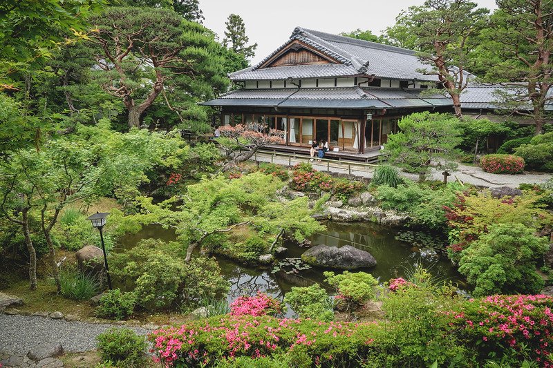 Your 1-day Nara travel itinerary: how to get there, places to visit, and foods to eat! Beautiful gardens and tranquil green escape in the city! Your 1-day Nara travel itinerary: how to get there, places to visit, and foods to eat! Beautiful gardens and tranquil green escape in the city!